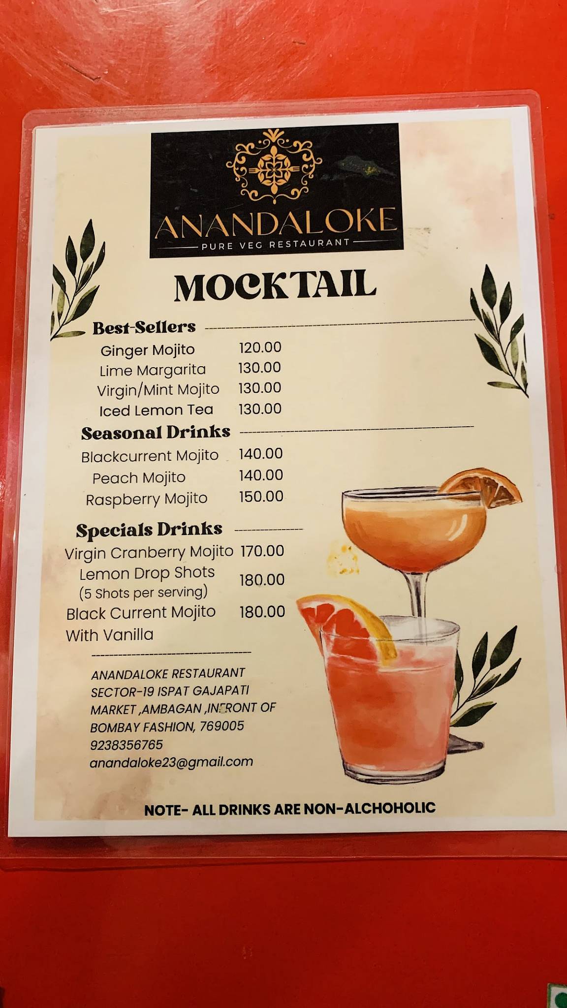 ANANDALOKE RESTAURANT menu