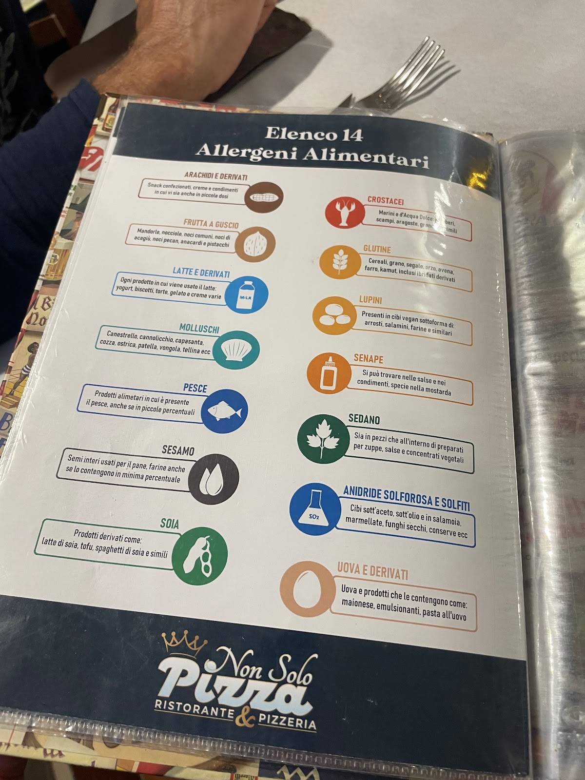 Menu di Ristorante Pizzeria Non Solo Pizza 