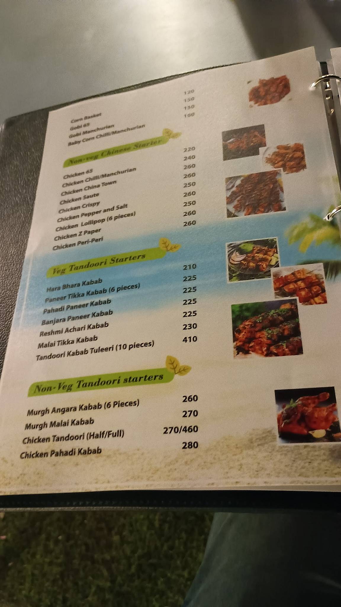 Royal Bagicha Multi Cuisine Restaurant menu