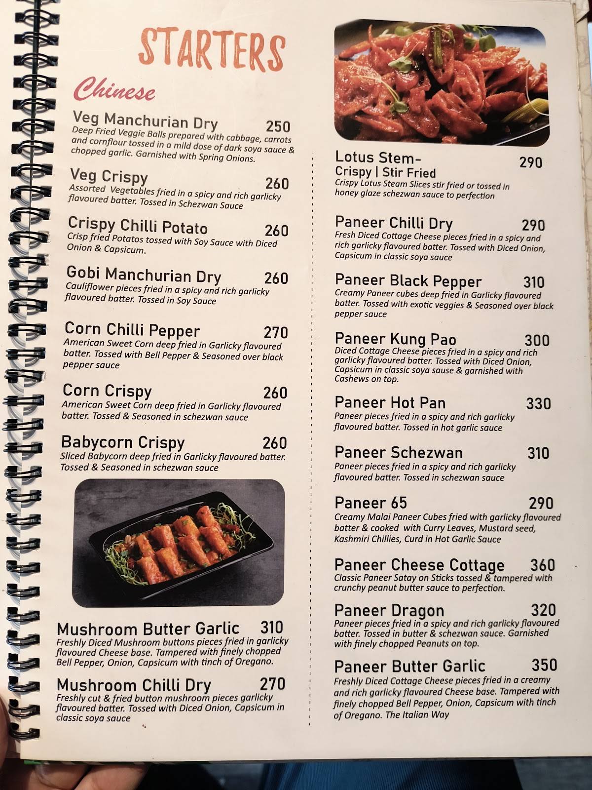 Lehza Veg Divine menu