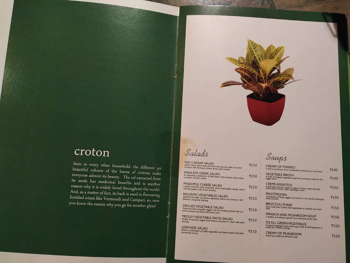 O2 - The Plant Café menu