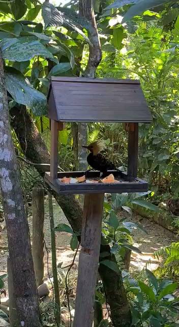 Pousada e Restaurante Todas As Luas cardápio