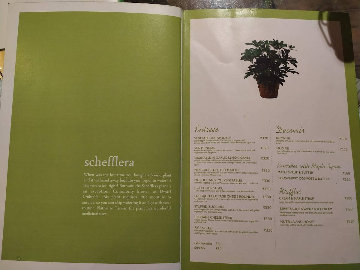 O2 - The Plant Café menu