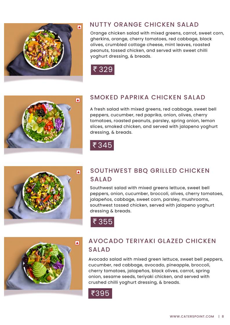 Caterspoint Vasant Kunj menu