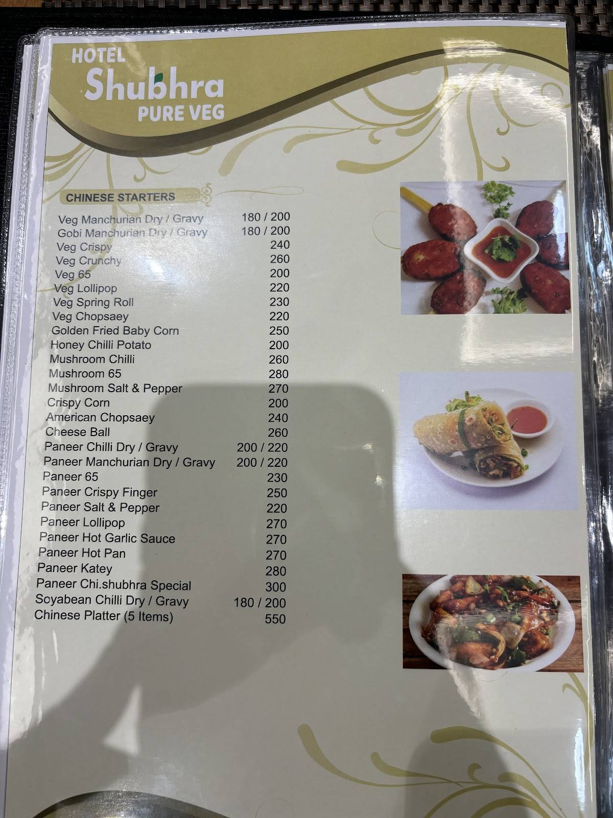 Hotel Shubhra Pure Veg menu