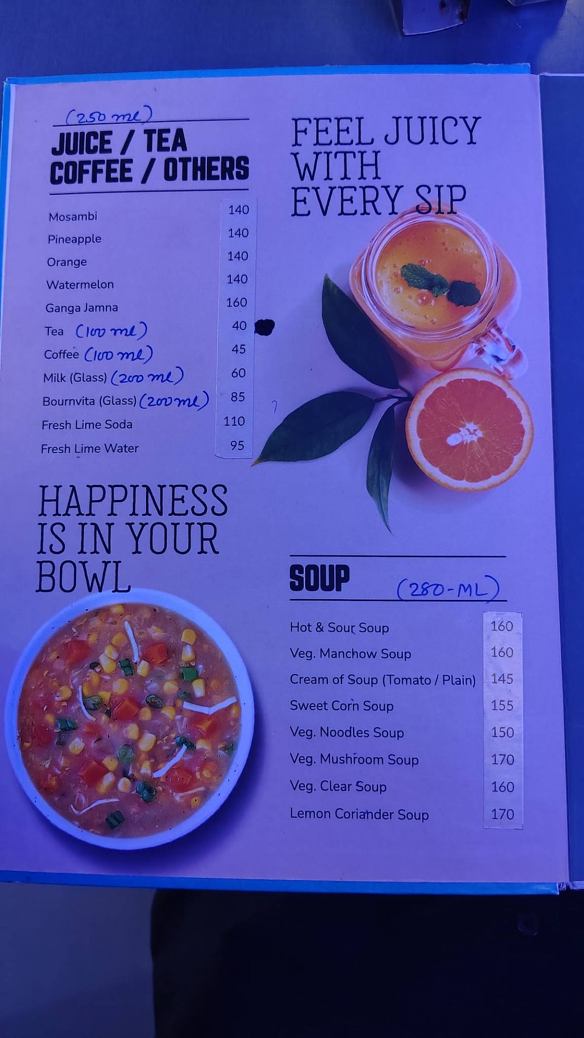 Hotel Surbhi (Pure Veg) menu