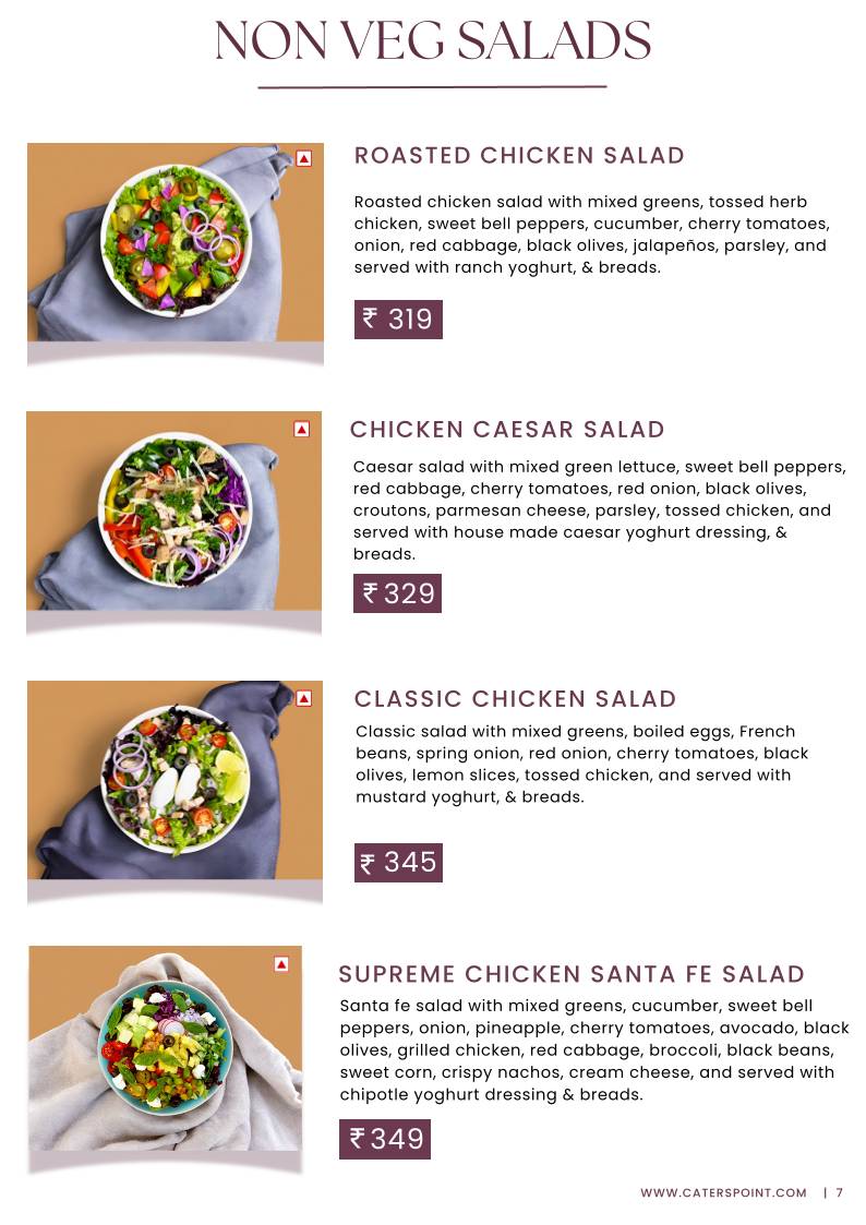 Caterspoint Vasant Kunj menu