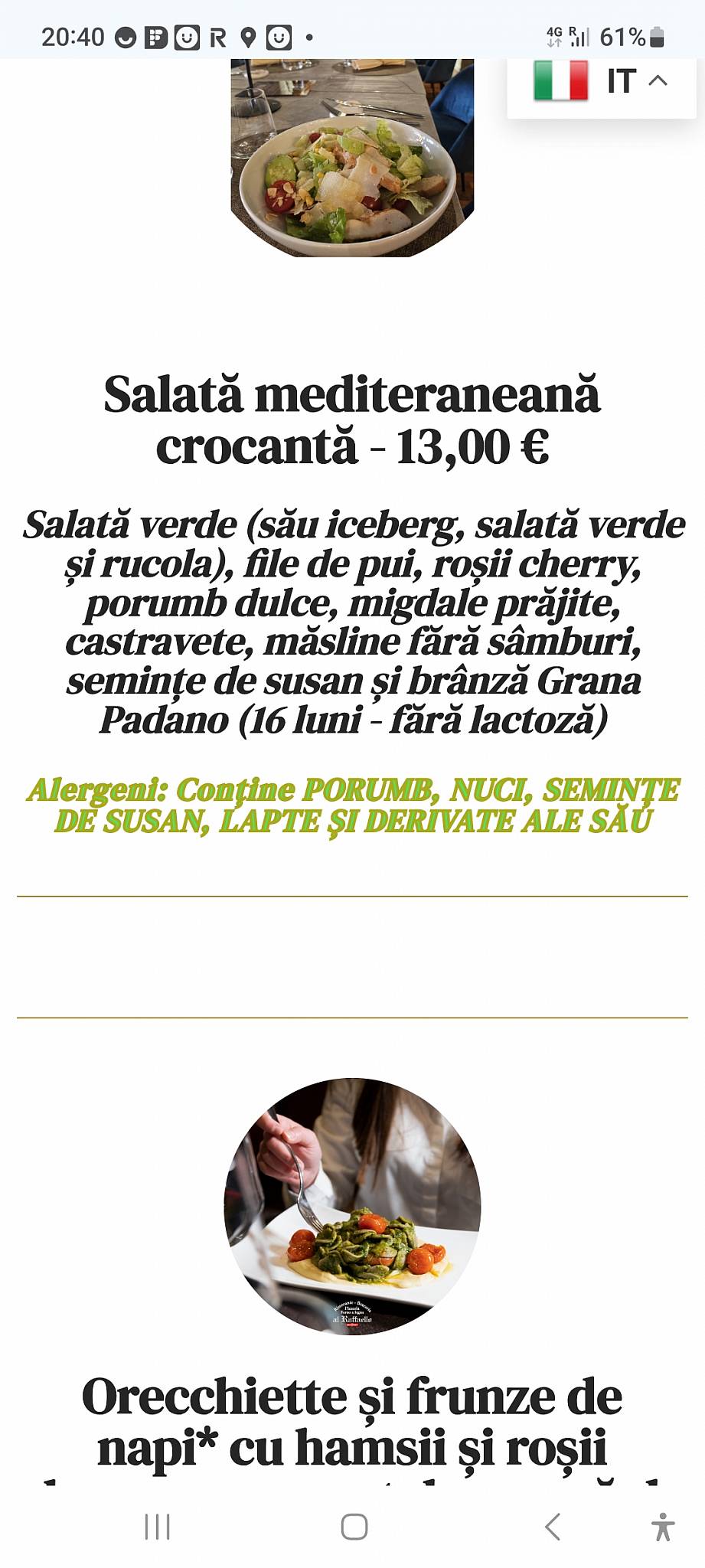 Menu di Ristorante Pizzeria Al Raffaello anche GlutenFree 